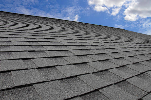 Best Asphalt Shingles Roofing  in Fernandina Beach, FL