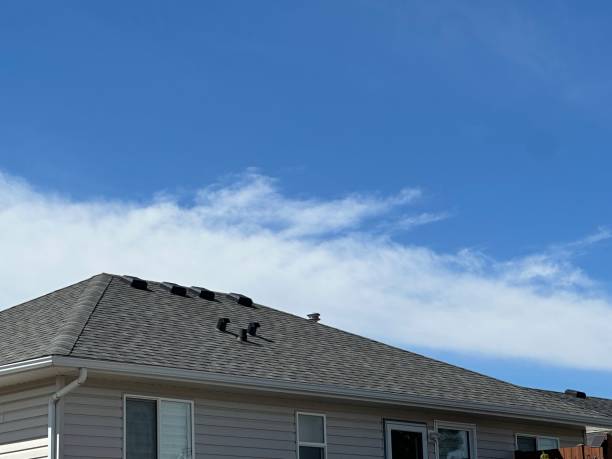 Best Solar Panel Roofing Installation  in Fernandina Beach, FL